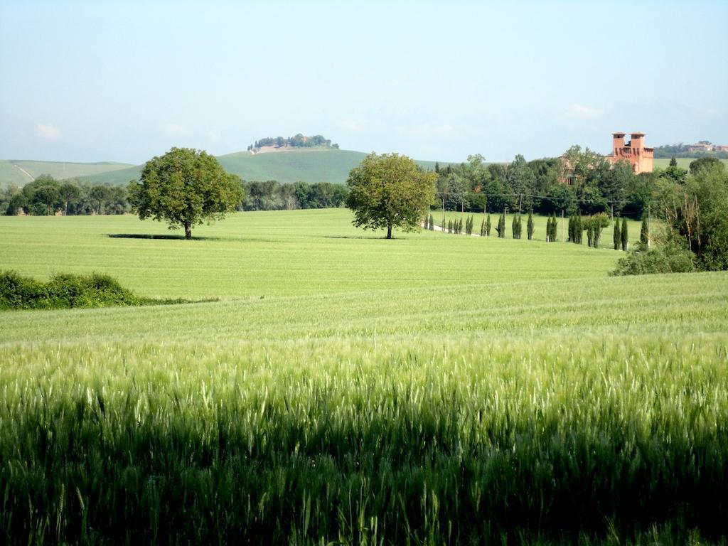 Castello Di San Fabiano Guest House Monteroni d'Arbia Exterior photo